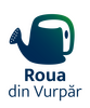 Viitor Plus – asociaţia pentru dezvoltare durabilă